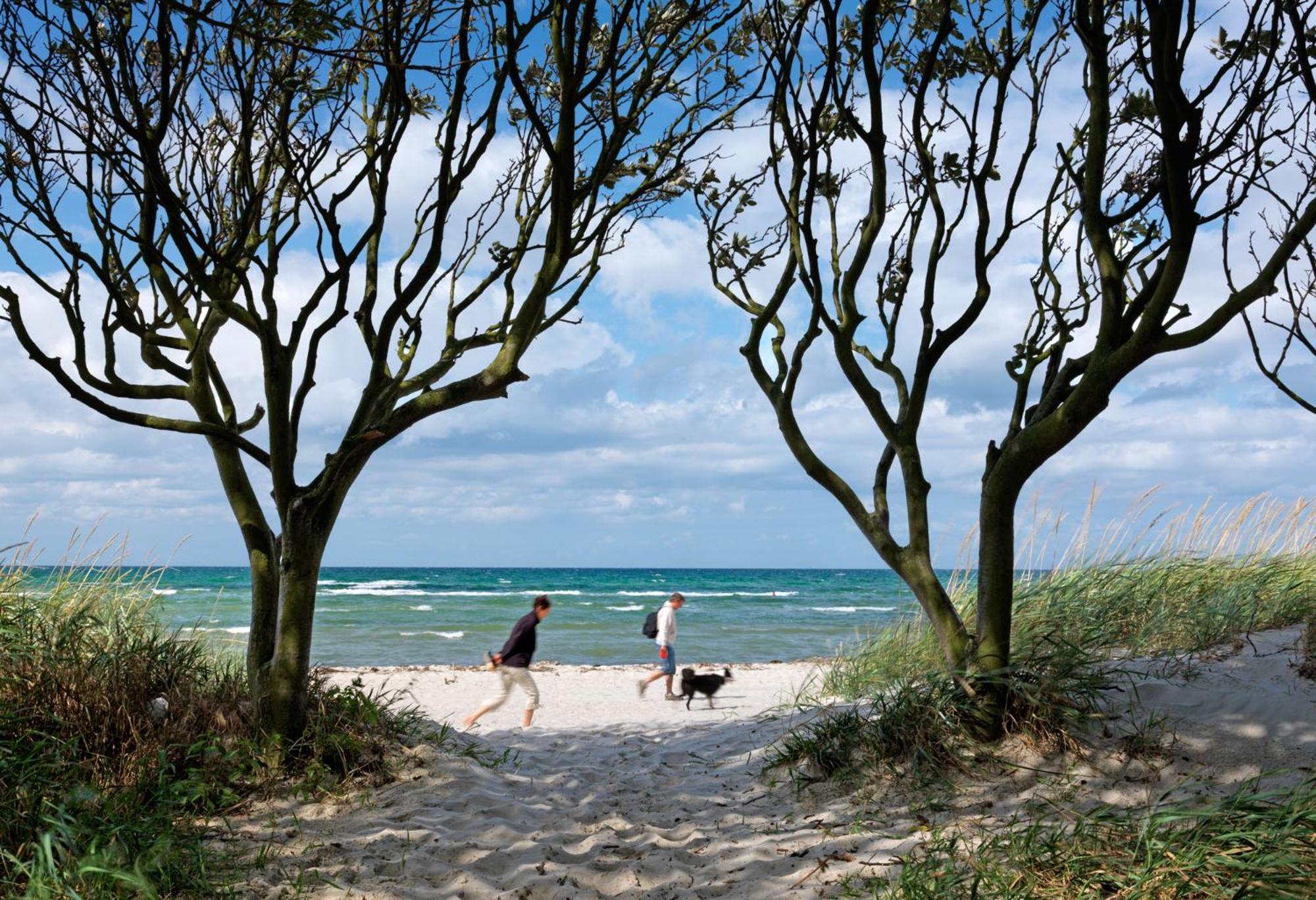 Inselhaeuser Kaltenhof Inselhaus Poel 2 Insel Poel Exterior foto